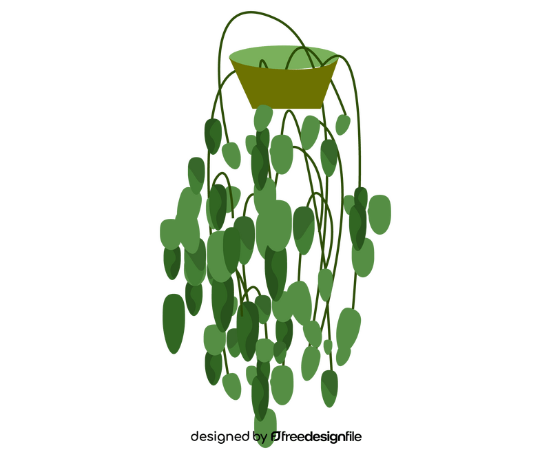 English ivy plant clipart