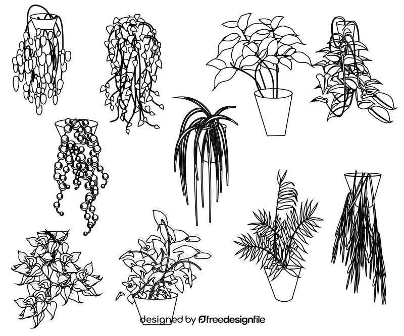 Houseplants black and white vector