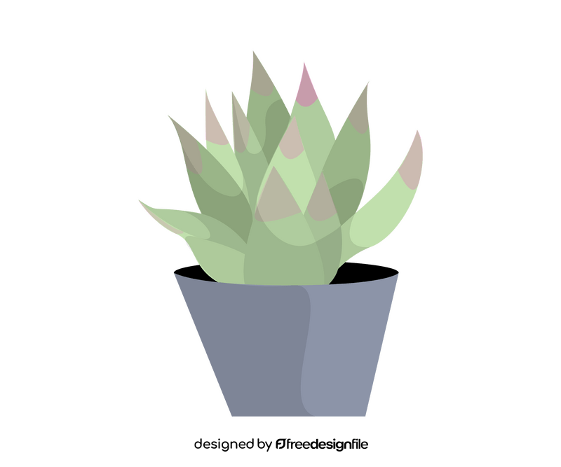 Aloe vera plant illustration clipart