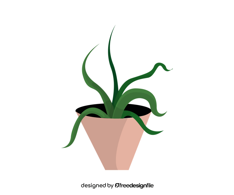 Aloe vera houseplant clipart