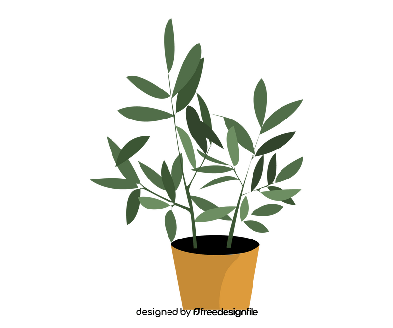 Schefflera houseplant clipart