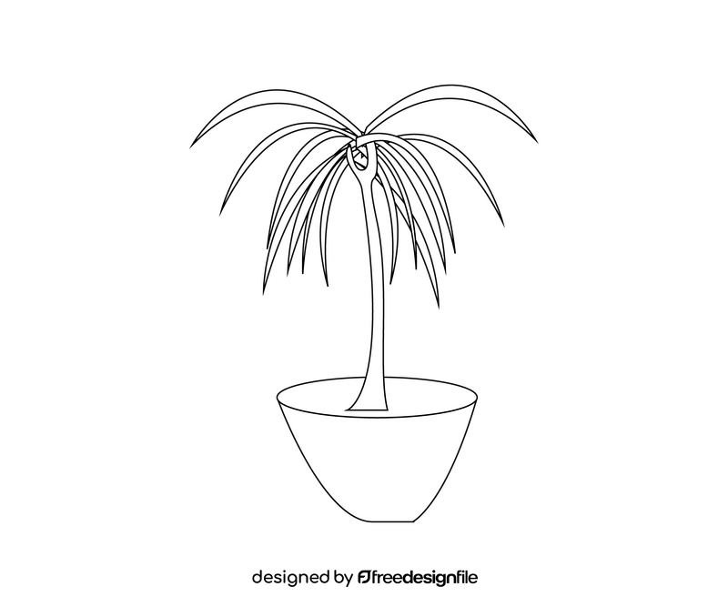 Potted palm plant black and white clipart