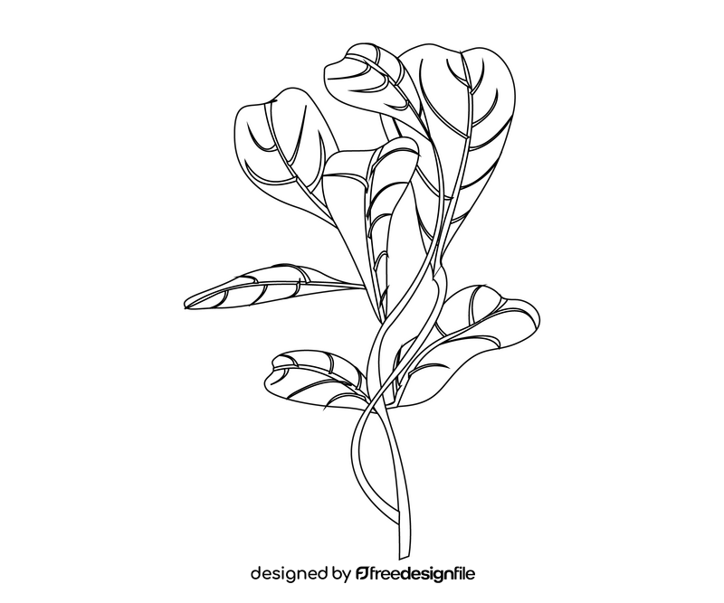 Plant leaves black and white clipart