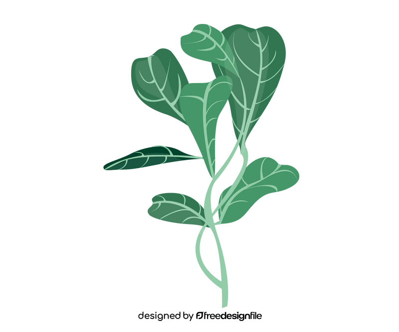 Plant leaves clipart