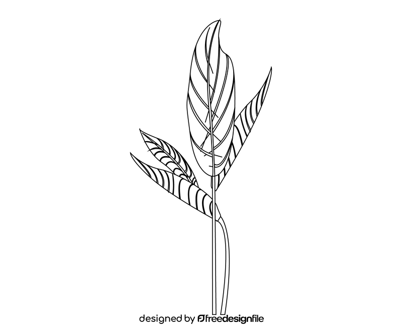 Free plant leaves black and white clipart