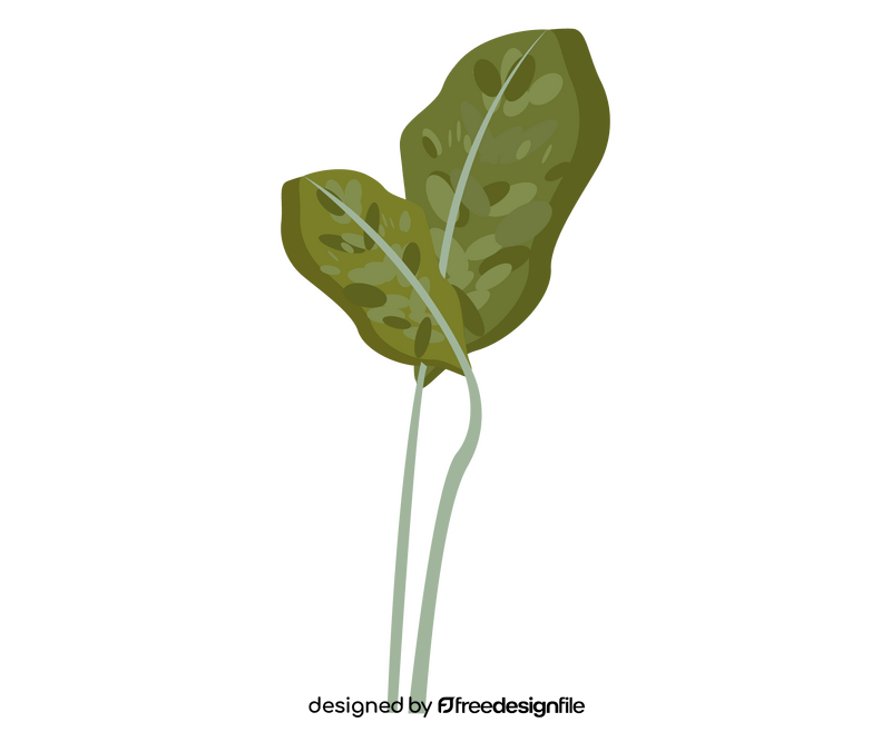 Plant leaves drawing clipart