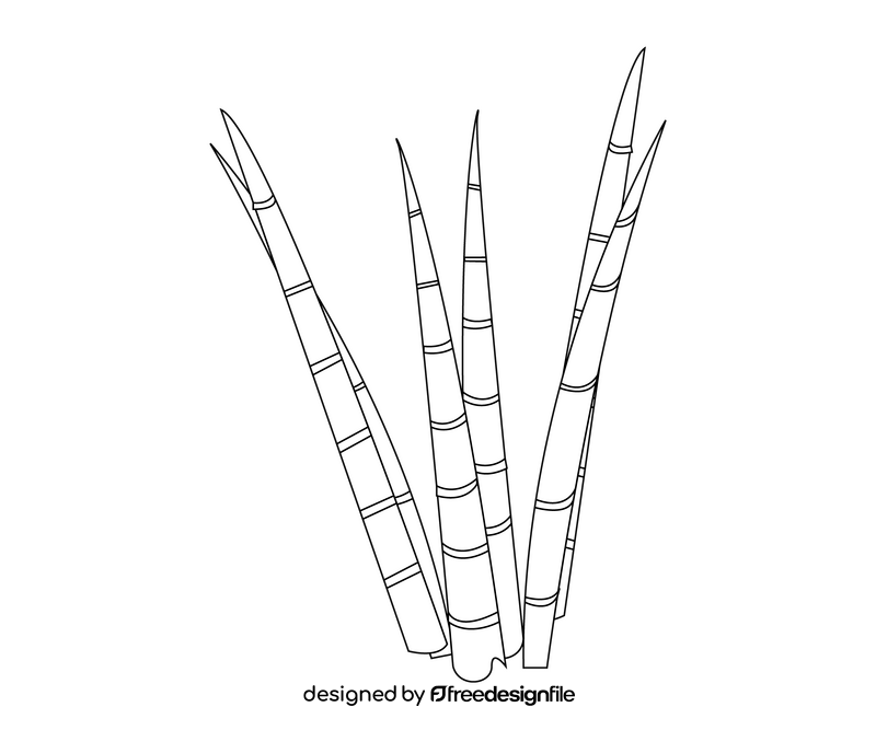 Aloe vera leaves illustration black and white clipart