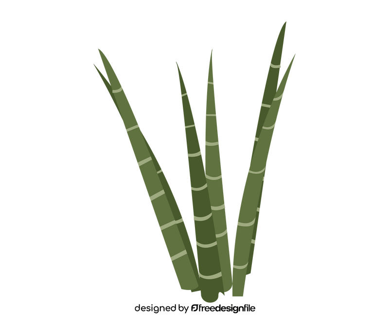 Aloe vera leaves illustration clipart