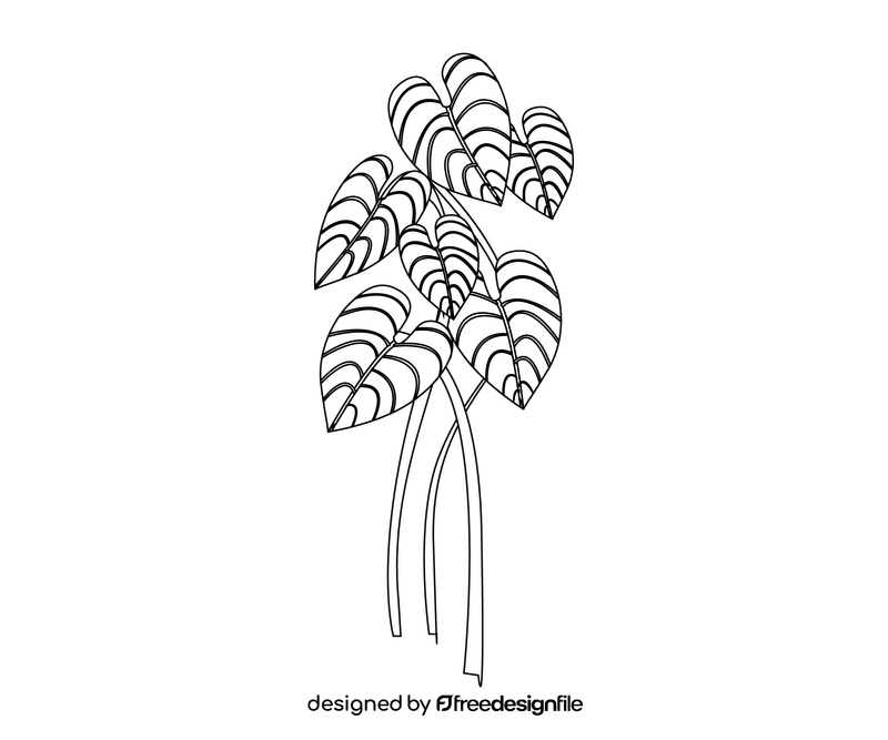 Plant leaf black and white clipart