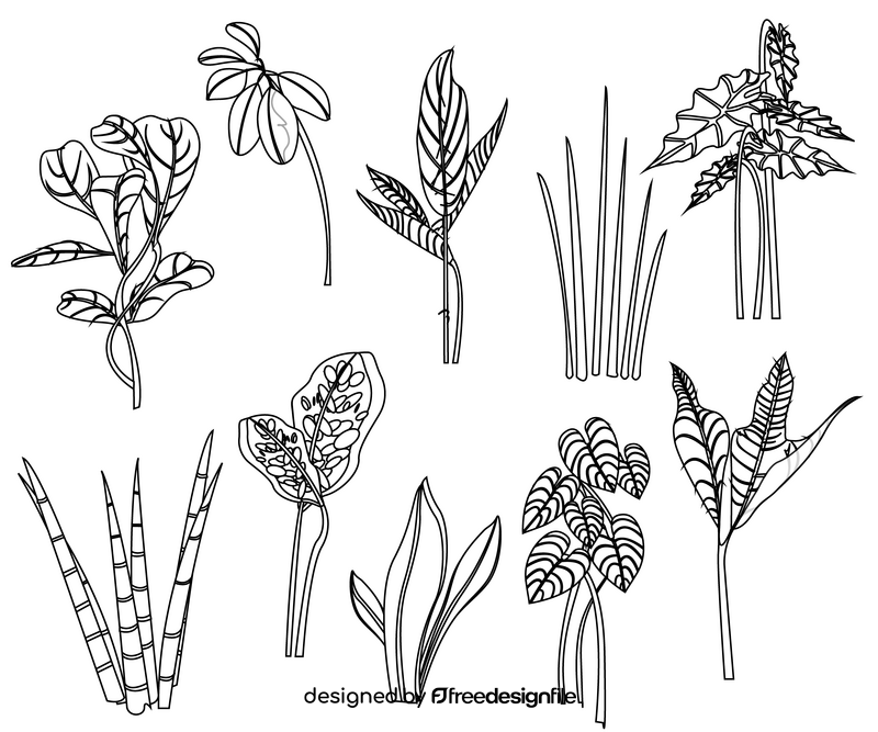 Plant leaves black and white vector