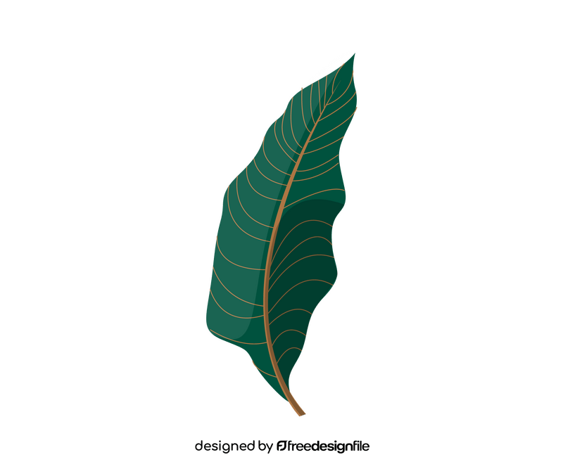 Free plant leaf clipart