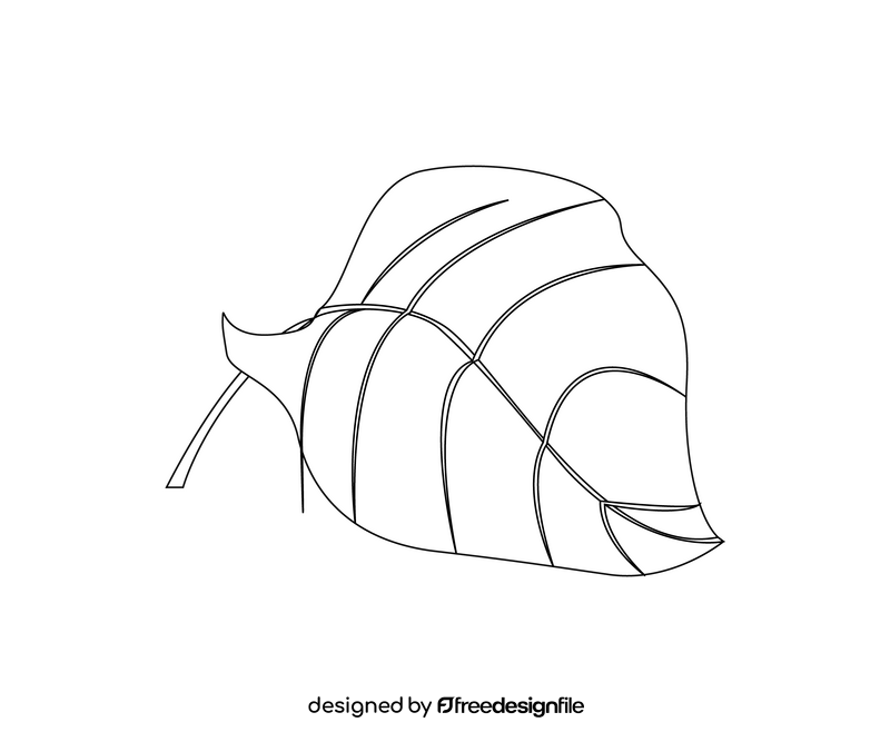 Plant leaf illustration black and white clipart