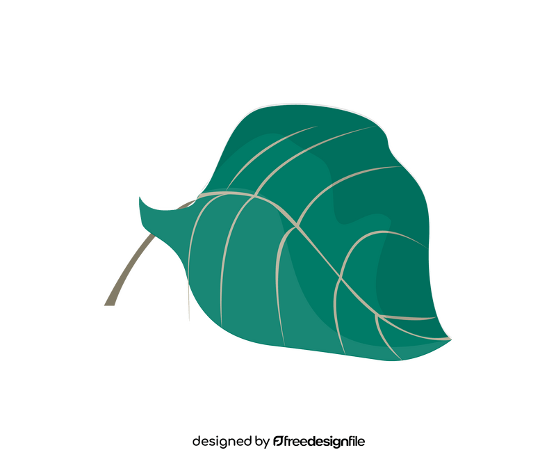Plant leaf illustration clipart