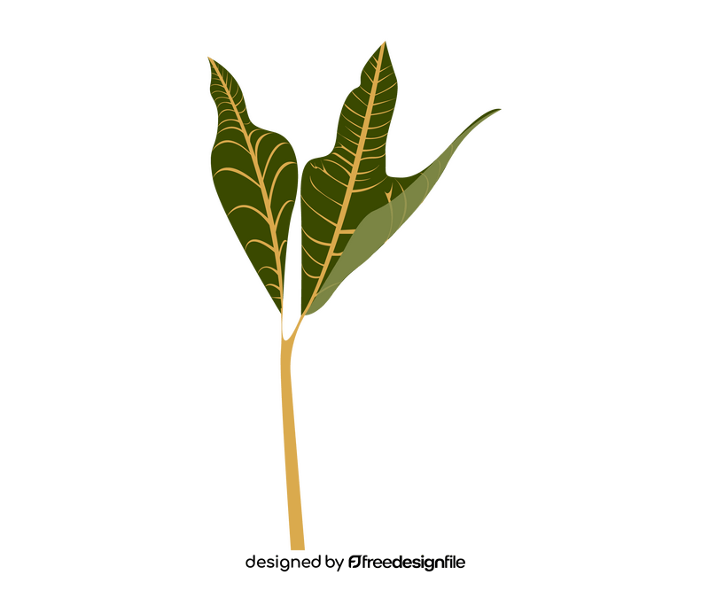 Cartoon plant leaf clipart