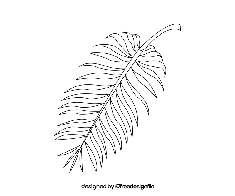 Cartoon palm leaves black and white clipart