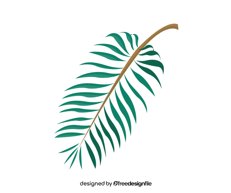 Cartoon palm leaves clipart