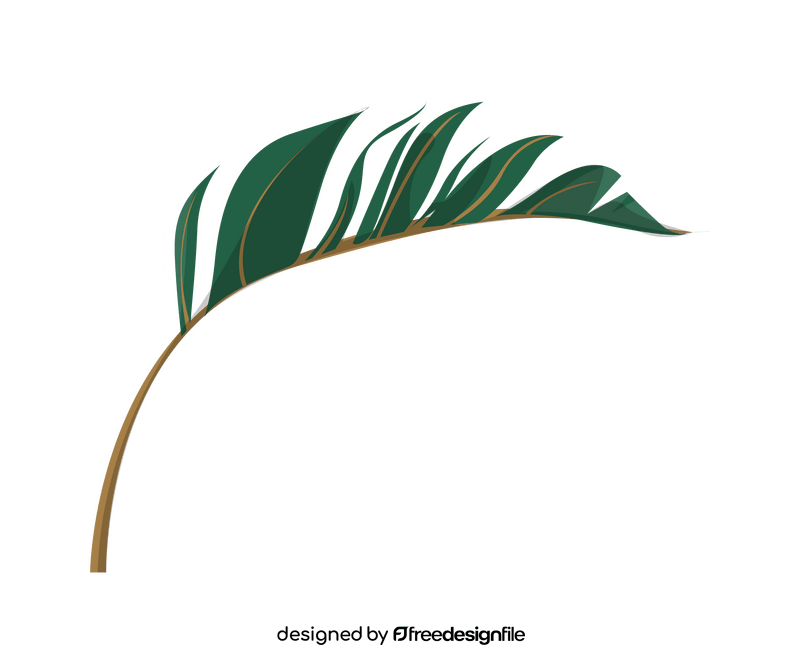Plant leaf cartoon clipart