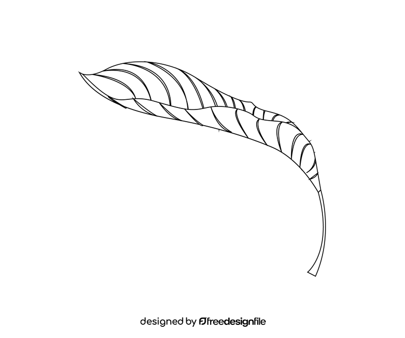 Plant leaf drawing black and white clipart