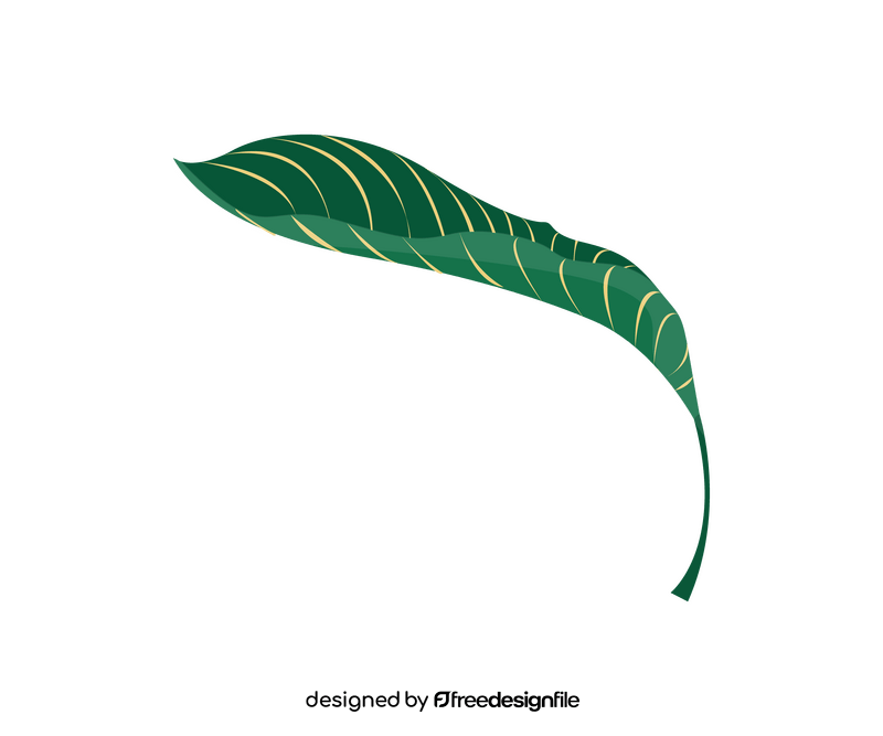 Plant leaf drawing clipart