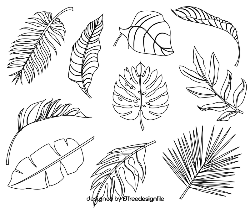 Plant leaves free black and white vector