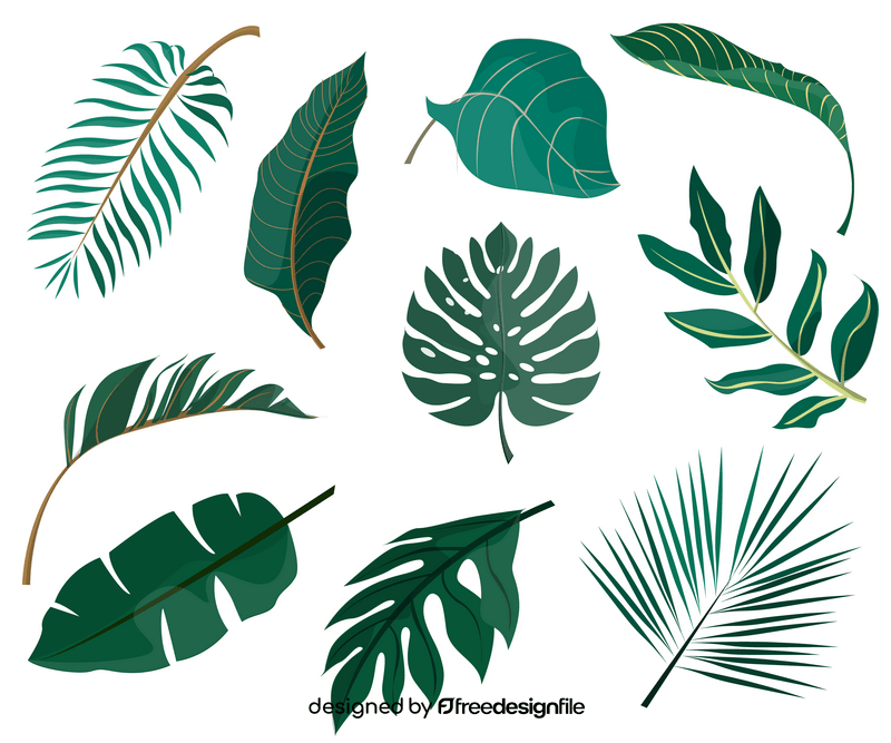Plant leaves free vector
