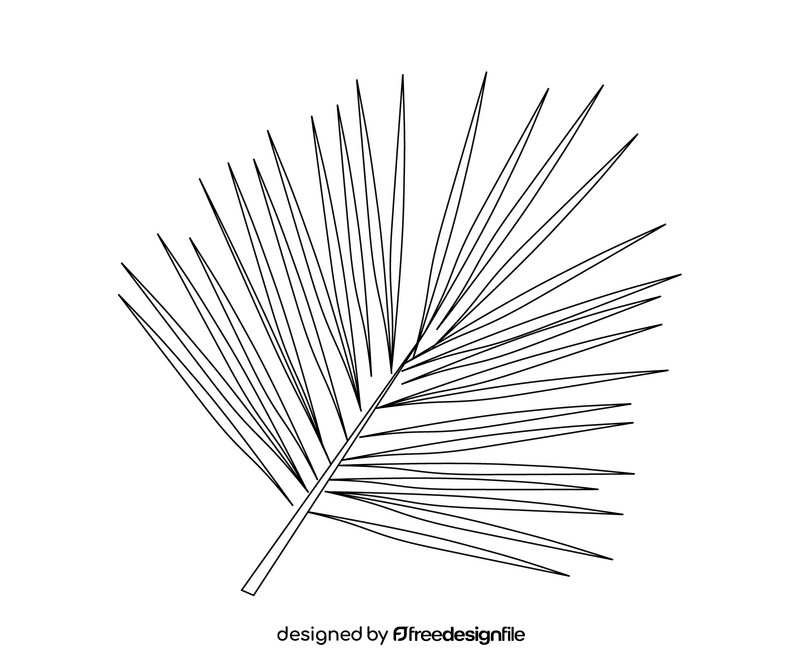 Palm leaf illustration black and white clipart