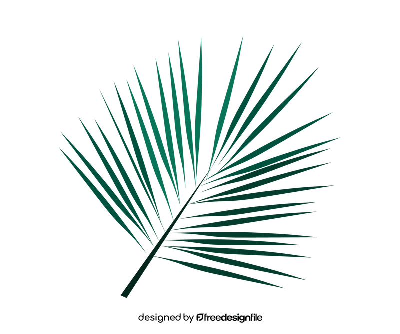 Palm leaf illustration clipart