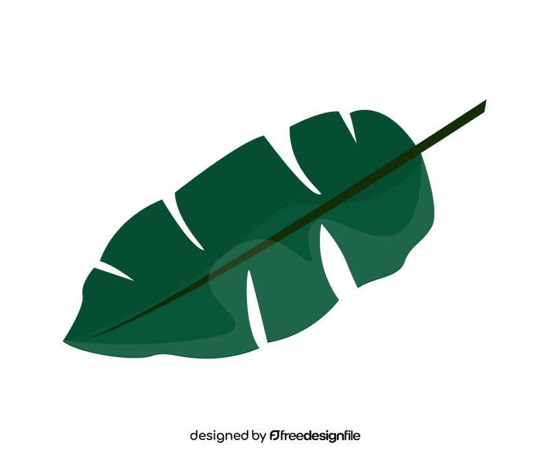 Plant leaf clipart
