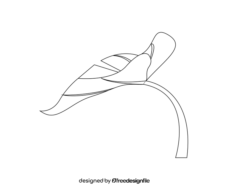 Free monstera leaf black and white clipart