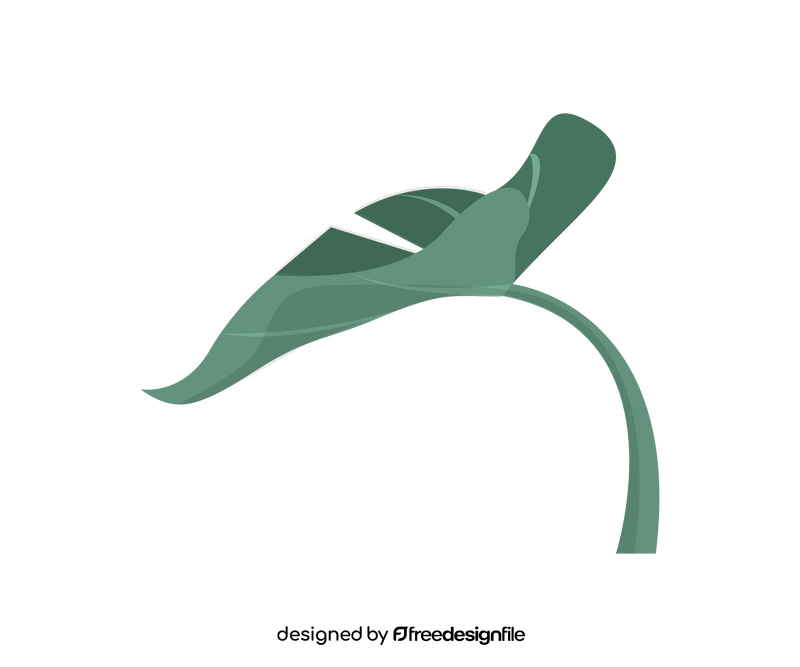 Free monstera leaf clipart