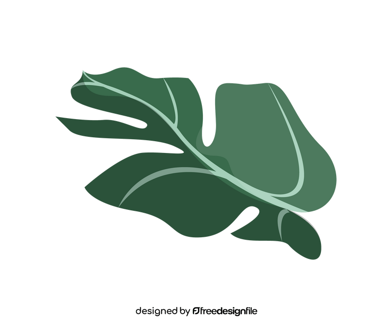 Free monstera leaf clipart