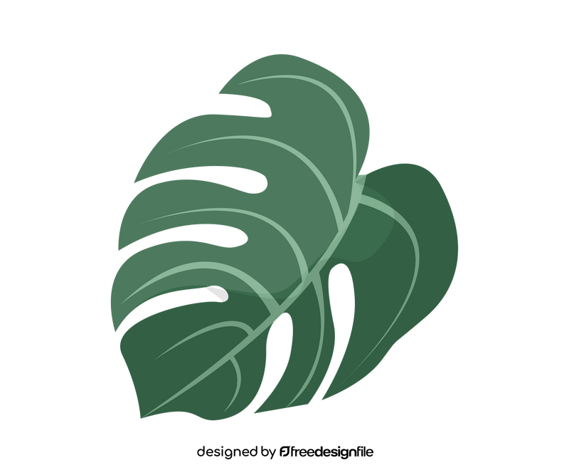 Monstera leaf clipart