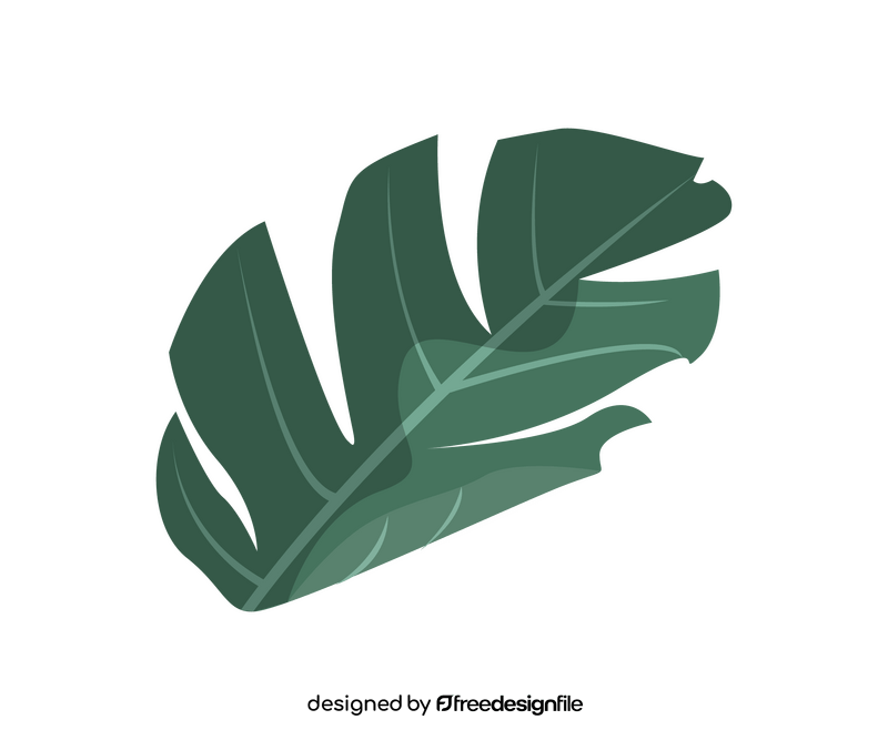 Cartoon monstera leaf clipart