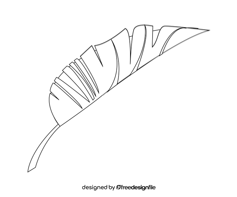 Monstera leaf illustration black and white clipart