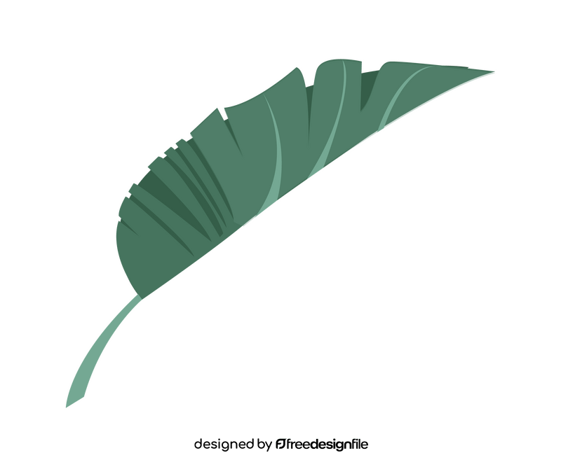 Monstera leaf illustration clipart