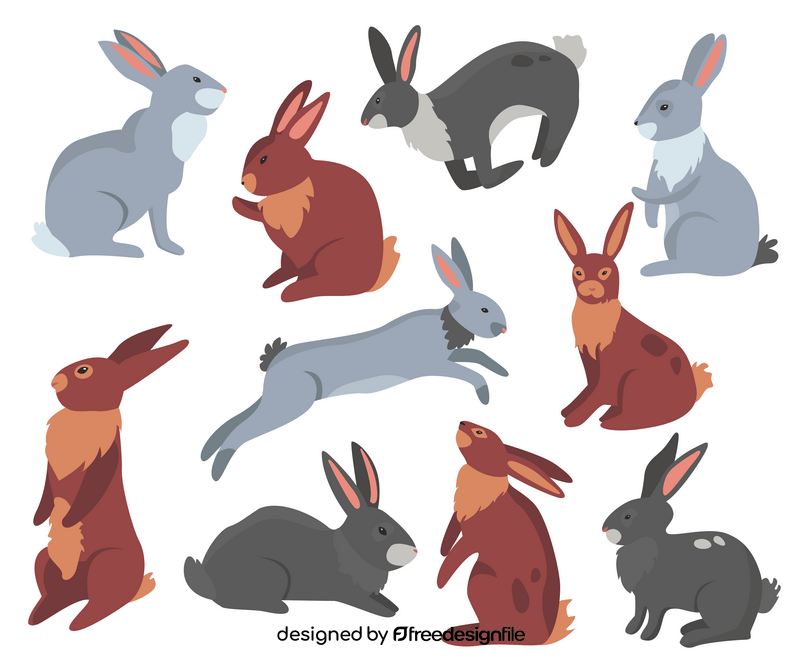 Hares, rabbits, jackrabbits vector