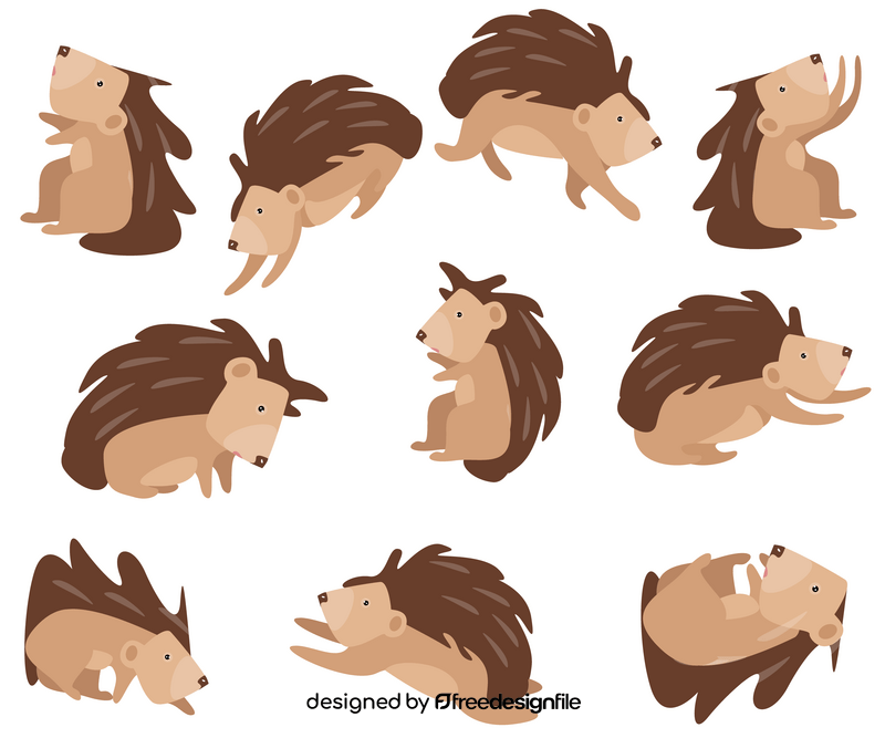 Hedgehog free vector
