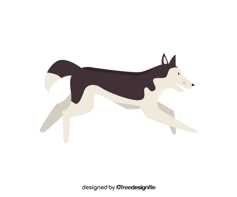 Husky dog running illustration clipart