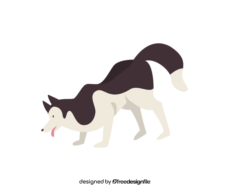 Cute husky dog sniffing clipart