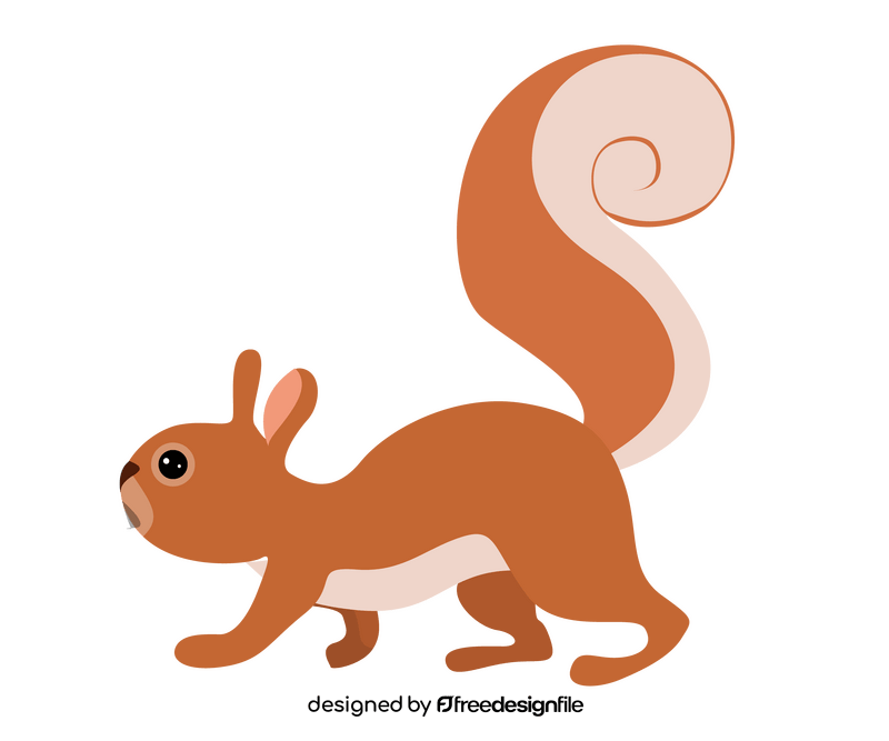 Squirrel illustration clipart