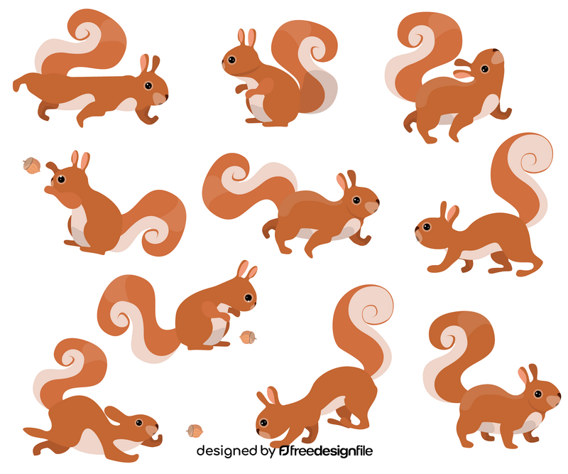 Squirrels free vector