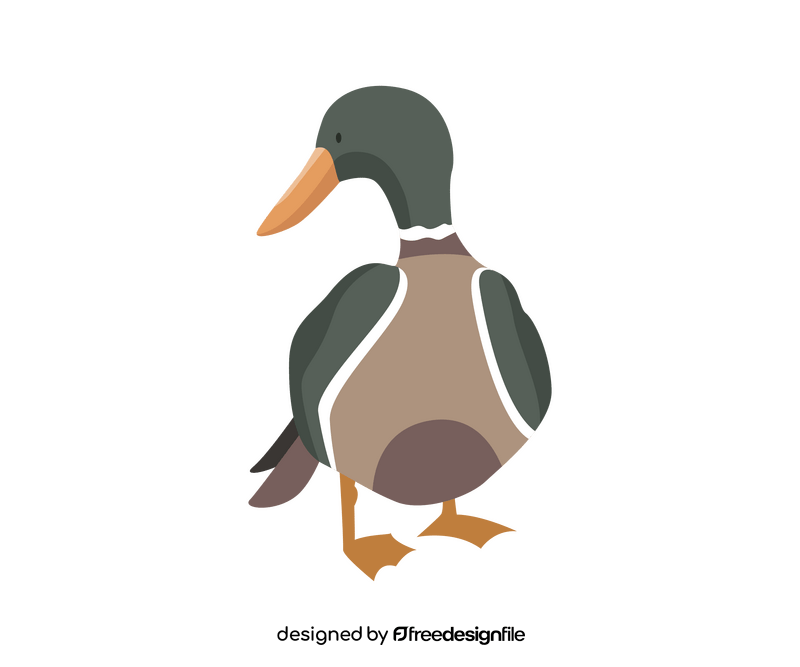 Wild duck drawing clipart