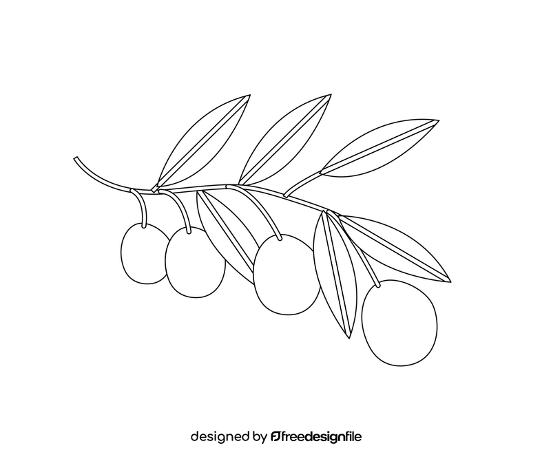 Cartoon greek olives on a branch black and white clipart