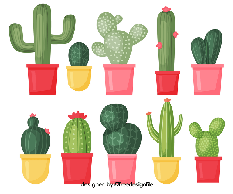 Potted cactus plants vector
