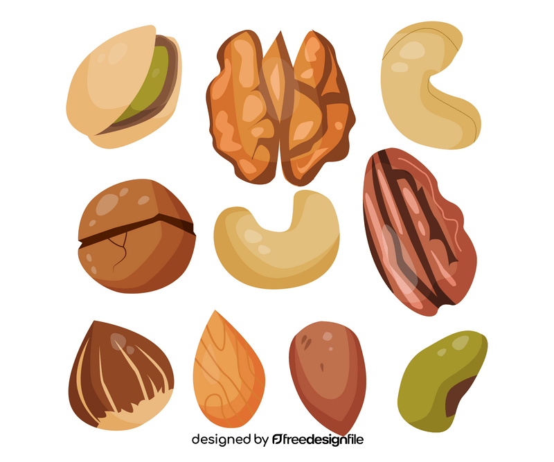 Various nuts and seeds vector