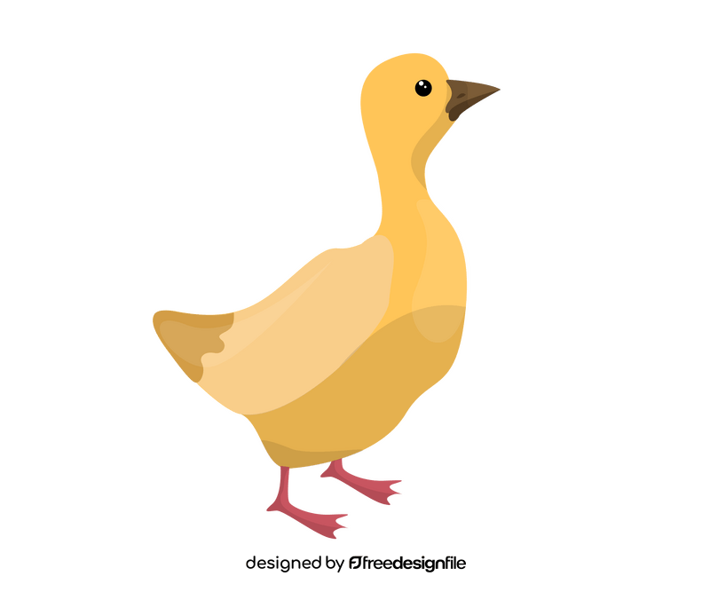 Duck drawing clipart