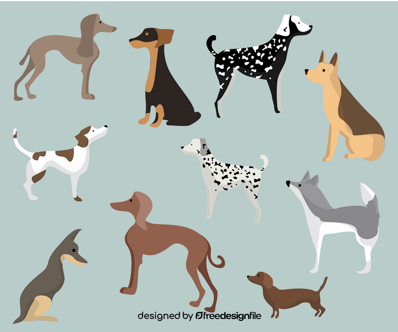 Dogs breeds vector