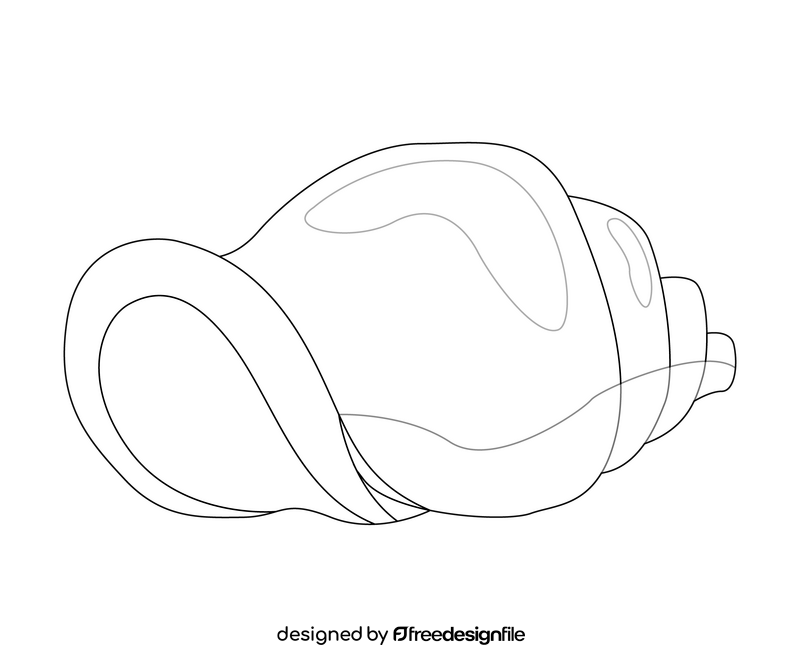 Sea shell black and white clipart