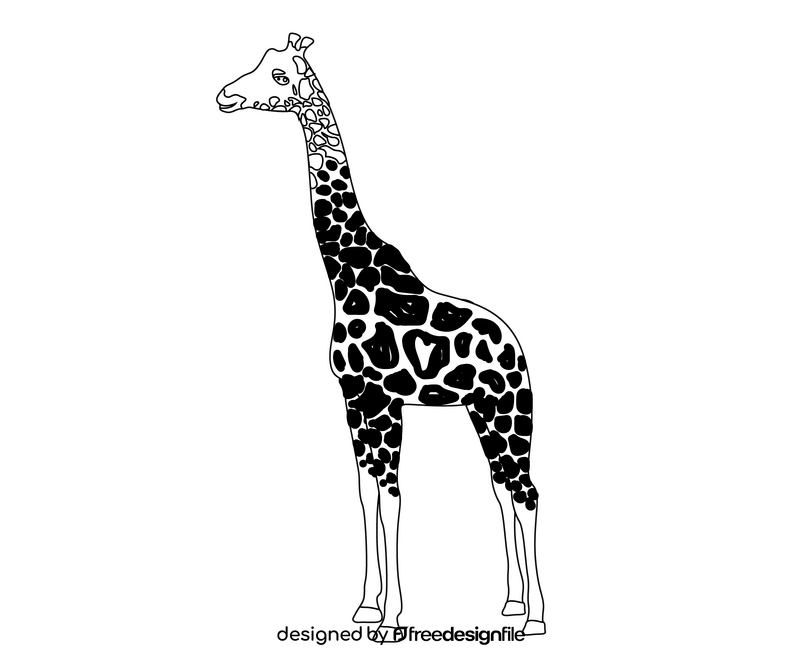 Giraffe drawing black and white clipart