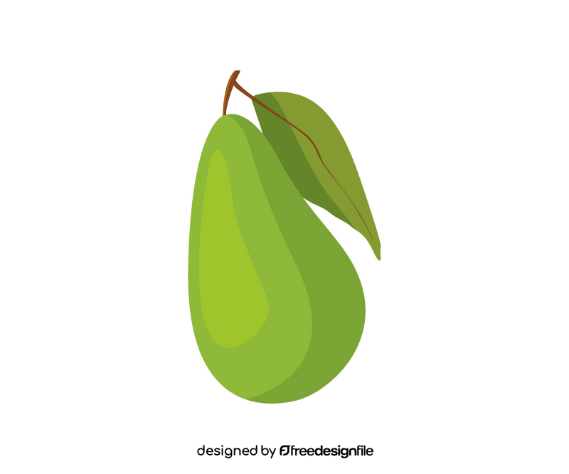 Avocado illustration clipart